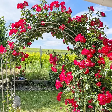 Weinbergblick By Interhome Apartamento Bischoffingen