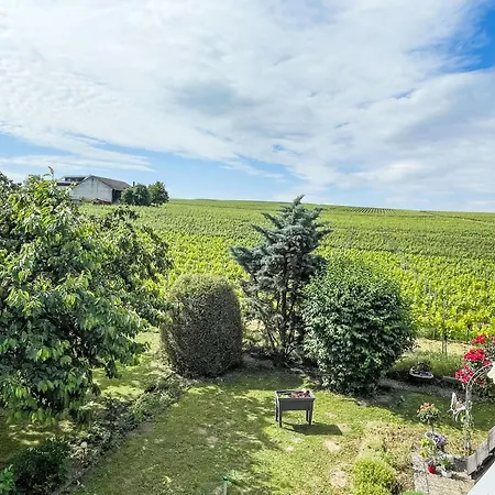 Apartamento Weinbergblick By Interhome *