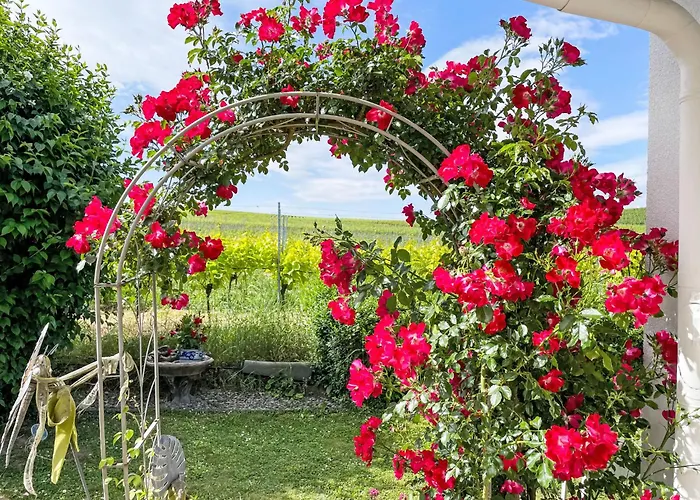 Weinbergblick By Interhome Appartement Bischoffingen