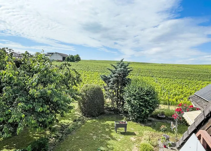 Appartement Weinbergblick By Interhome *